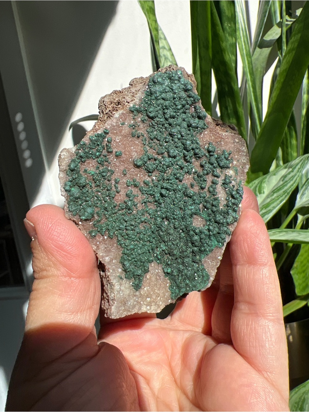 botryoidal malachite Cluster - Picture 2 of 2